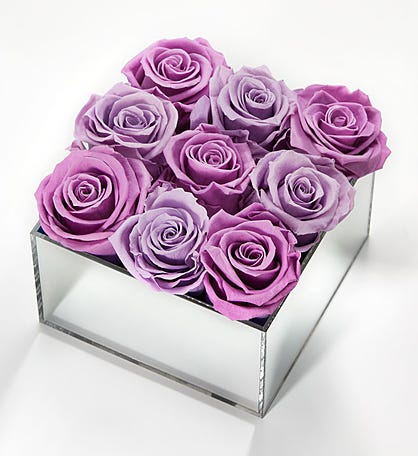 Magnificent Roses® Preserved Purple Reflection 